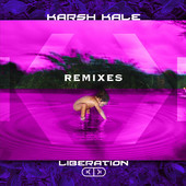 Album Art: Liberation Remixes - EP